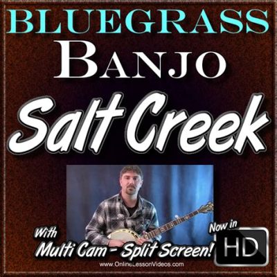  “Salt Creek”：一曲充滿活力的藍草音樂，以其快速而歡快的節奏和精湛的樂器演奏而著稱